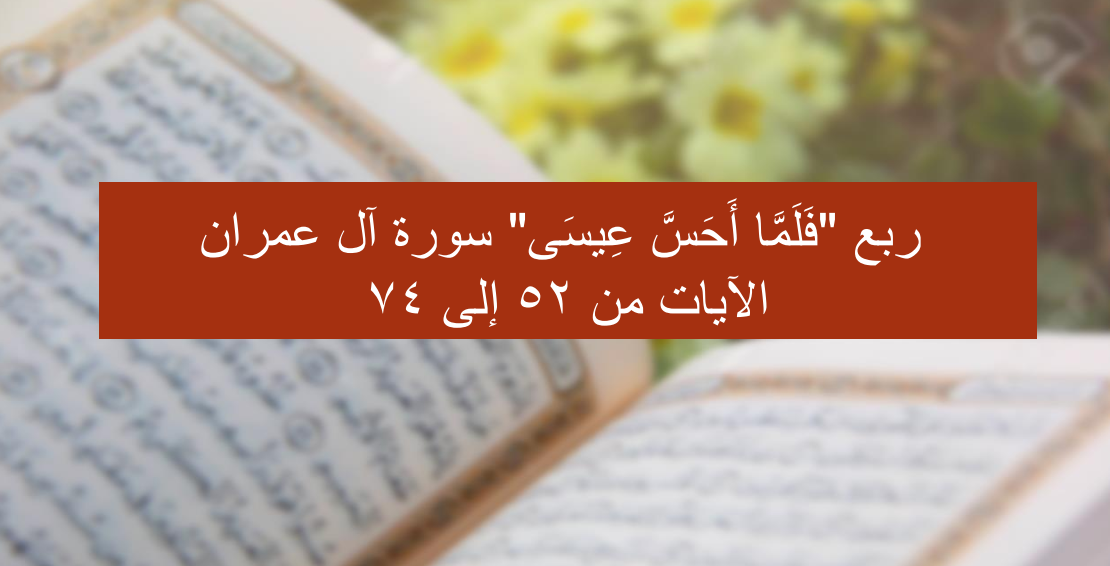 {مشاهدة}